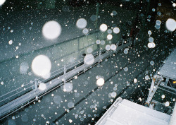 fuckyeahjapanandkorea:  Snow (by P5000) 