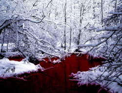  SCP-354: The Red Pool SCP-354 is a pool of red liquid located