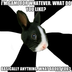 fyeahroleplayingrabbit:  Lather, rinse, and repeat.  OH HEY.
