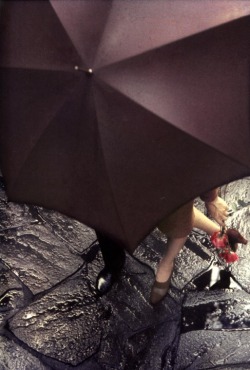 horz:  Saul Leiter  non datele fiori.