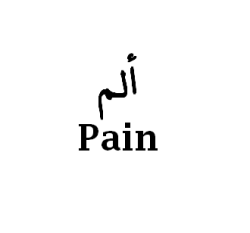 arabic-mind:  Pain in Arabic* (Alam) ألم. 
