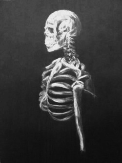 found this half finished skeleton drawing i did in college on