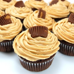  Dark Chocolate Cupcakes with Peanut Butter Frosting (recipe)