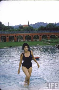 Life Magazine: at home with Carlo Ponti and Sophia Loren (1964).