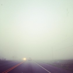 So foggy. #photography #iphoneography #instagram #fog #morning