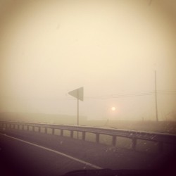 Dirty windshields sun peeking through the fog. #sun #fog #morning
