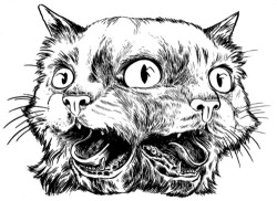 meowthtomeowth.tumblr.com/post/20069919777/