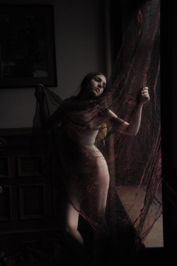 sisterthyme:  Image taken by Daniel Murtagh, February 2012  