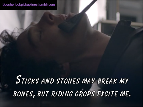 “Sticks and stones may break my bones, but riding crops excite me.”