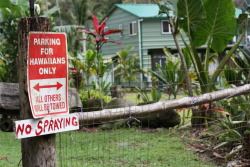 tienaustin:  hawaiian parking only 
