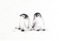 broken-crayon:  2 little penguin chicks by wildsunart on etsy