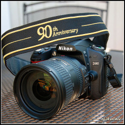 cameracadets:  Nikon D90: mine mine mine by chickentinola on