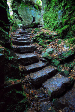 bluepueblo:  Ancient Luds Church, Staffordshire, England photo