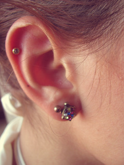 teenage-drugs:  finally got the cartilage! whoop whoop 