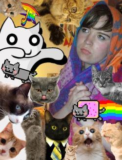 insulin-jizz:  a series of cat pictures of mine featuring me,