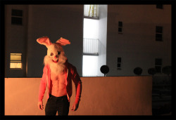  Easter Bunny? WTF! - Alexander Guerra 2012 *check out the video