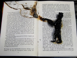 teachingliteracy:  Fahrenheit 451 (by Sabine Little)