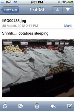 As someone lives in Idaho, I can confirm that potatoes do sleep