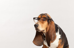 warbyparker:  And now, a big announcement: Warby Barker is