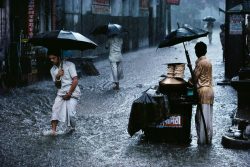 snowce:  Steve McCurry, Chandni Chowk, Old Delhi, India 