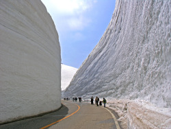 automotivated:  Tateyama Kurobe Alpine Route