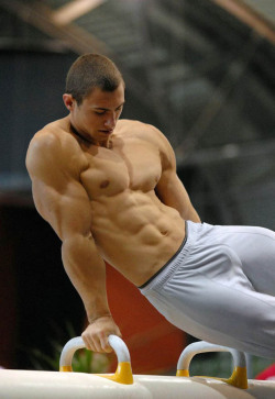 musclehunkymen:  HOT muscled gymnast with a sexy bulge. 
