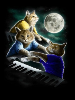Keyboard kitty