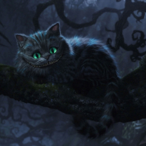 Cheshire kitty