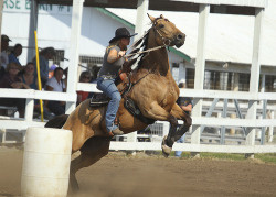 sweetand-wild:  rank ass barrel horses are the best <3 