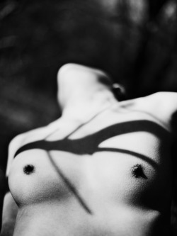 shadows / small nipples / perky