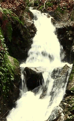  never thought id see a gif of a waterfall backwards  this looks