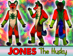 antistellar:  dogtemplar:  finerfur:  Jones Husky Fursuit -