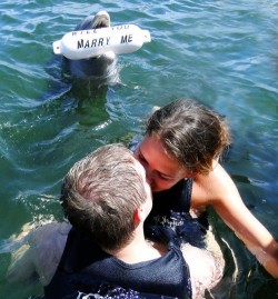 cybergirlfriend:  wow so the dolphin asked her to marry him and
