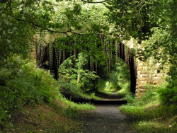 bluepueblo:  Old Yorkshire Bridge, Yorkshire, England photo via