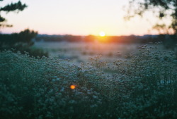  good morning tumblr Canon AE-1, Kodak Gold 400 by timetopicture.tumblr.com