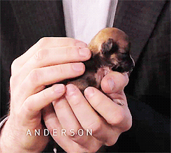 animalsincups:  This was just too adorable. I mean look at it.