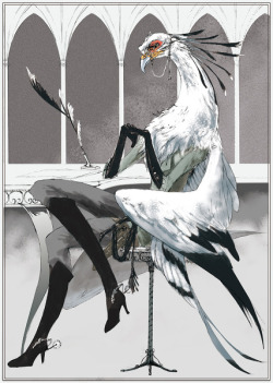 fyeahsecretarybirds:  Whao. Those are quite some legs.  This