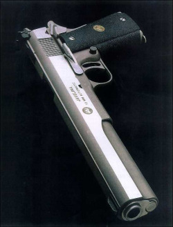 gunrunnerhell:  Javelina 10mm These handguns are similar to the
