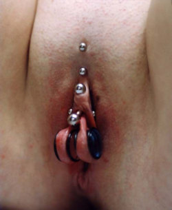 pussymodsgalore   From the top: Christina piercing, VCH piercing,