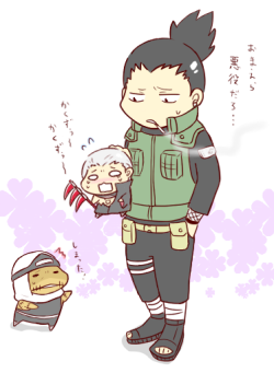 Suna's King