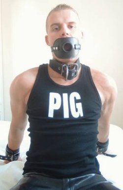 sirmastermark:  berlinwhore:  poz-skinhead-pig:  givitupson: