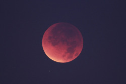 Blood moon