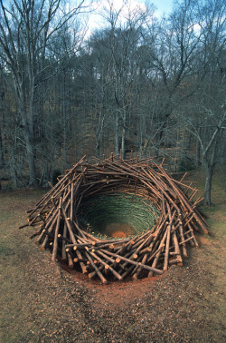 laughingsquid:  Giant Nest Sculpture by Nils Udo 