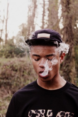 Diddyvice