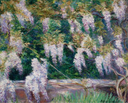 poboh:  Wistarias at Giverny, Blanche Hoschede Monet. (Blanche
