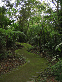 visitheworld:  Lankester Tropical Gardens in Valle de Orosi,
