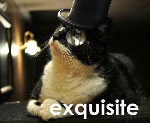 kittiesntitties.tumblr.com/post/21270091626/