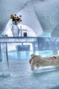 deification:  Ice Hotel 
