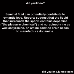 did-you-kno:  Source: Why We Love: The Nature and Chemistry