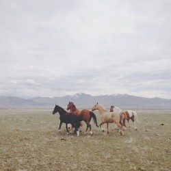 kevinruss:  Another run then pose set. Delta, Utah (Taken with